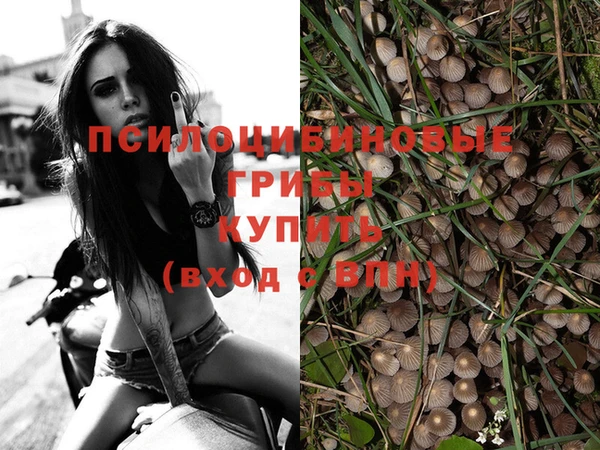 прущие крисы Лихославль