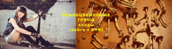 прущие крисы Лихославль