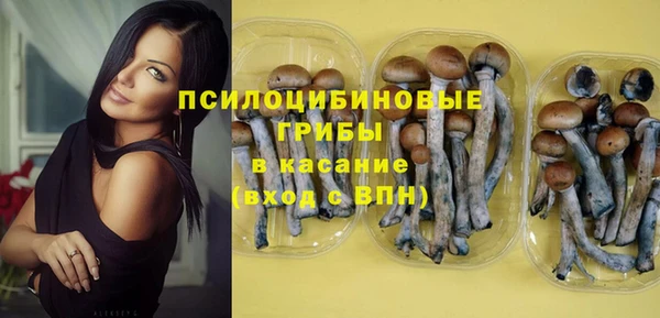 гидропоника Липки